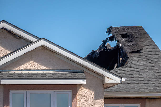 Top rated local Odor Removal specialists in Afton, MN
